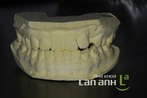 IMG_2531