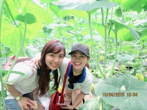 7b-nong-trang-xanh